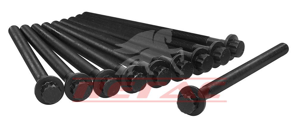 Болти головки (к-кт 10шт.) Getz, i20, i40, Matrix, Kia Ceed, Cerato, Venga 1.4